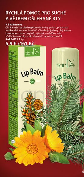 TianDe Balzam na pery, tiande recenzie, tiande altai, tiande kozmetika, bylinne vlozky, pravda o tiande