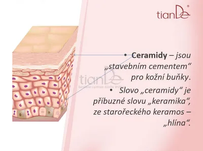 TianDe Regeneračné sérum v kapsuliach, servisne centrum tiande, moje tiande, produkty tiande, tiande prihlasenie, tiande online office