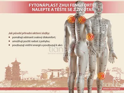 TianDe Kozmetická telová fytonáplasť Zhui Feng Forte, tiande altai, tiande kozmetika, bylinne vlozky, pravda o tiande, tiande skusenosti