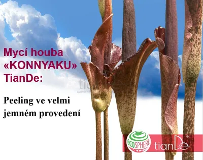 TianDe Prírodná hubka Konjac, tiande skusenosti, tiande recenzie, tiande altai, tiande kozmetika, bylinne vlozky