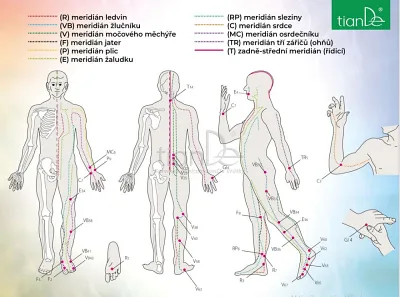 TianDe Kozmetická fytonáplasť Wutong, naplaste wutong, bylinkove vlozky, slaviton mast, tiande naplaste na nadchu, tiande eu