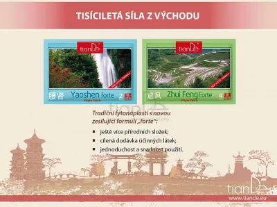 TianDe Kozmetická telová fytonáplasť Zhui Feng Forte, tiande naplaste, tiande vlozky, tiandebeauty, tiandecentrum, tiande