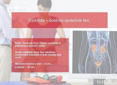 TianDe Denná hygienická vložka Jemná starostlivosť, tiande eu, tiande foot phytogelslaviton gel, naplaste wutong, bylinkove vlozky, slaviton mast