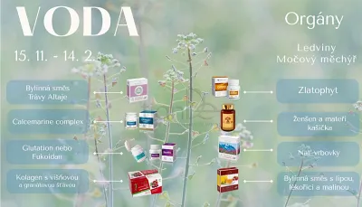 TianDe Ženšen a materská kašička, moje tiande, produkty tiande, tiande prihlasenie, tiande online office, tiande katalog