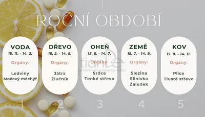 TianDe Ženšen a materská kašička, tiande eu, tiande foot phytogelslaviton gel, naplaste wutong, bylinkove vlozky, slaviton mast