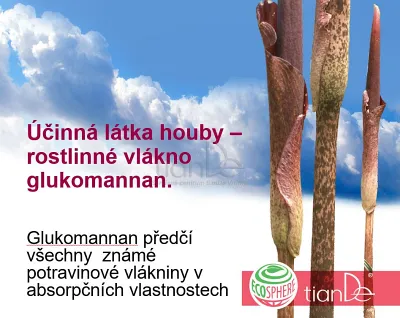 TianDe Prírodná hubka Konjac, tiande foot phytogelslaviton gel, naplaste wutong, bylinkove vlozky, slaviton mast, tiande naplaste na nadchu