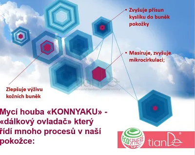 TianDe Prírodná hubka Konjac, najnovsie tiande, tiande, recenzia, vlozky, kozmetika