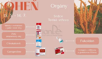 TianDe Ženšen a materská kašička, katalogy, najnovsie tiande, tiande, recenzia, vlozky