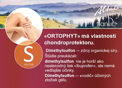 TianDe Telový masážny gél Orthophyt, kozmetika tiande, tiande slaviton, tiande sk, tiande recenzie, tiande naplaste