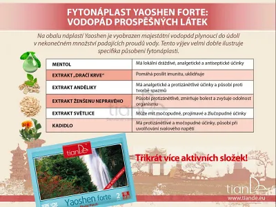 TianDe Kozmetická telová fytonáplasť Zhui Feng Forte, tiande kozmetika, bylinne vlozky, pravda o tiande, tiande skusenosti, tiande recenzie