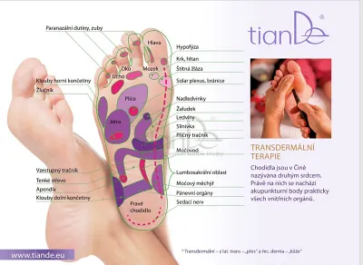 TianDe Náplasť na nohy, kozmetika, online office, moje tiande, katalogy, najnovsie tiande